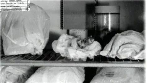 The police were willing to investigate, and the victim led them to Dahmers house where they found photographs of dismembered bodies and the dismembered body parts of several victims preserved within his refrigerator. . Polaroid photos of jeffreys victims